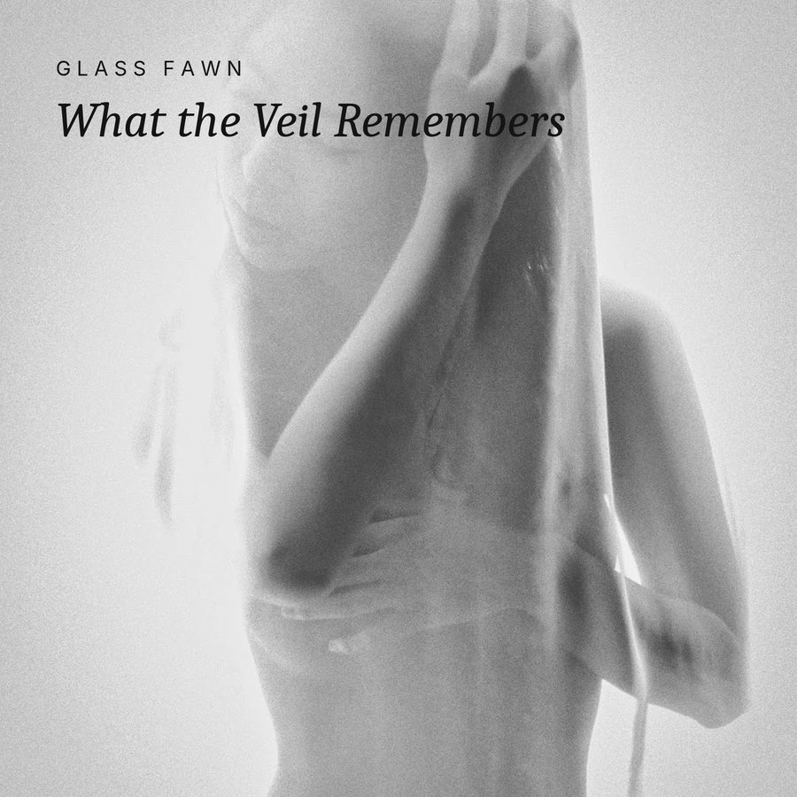 Cover idea, What the Veil Remembers